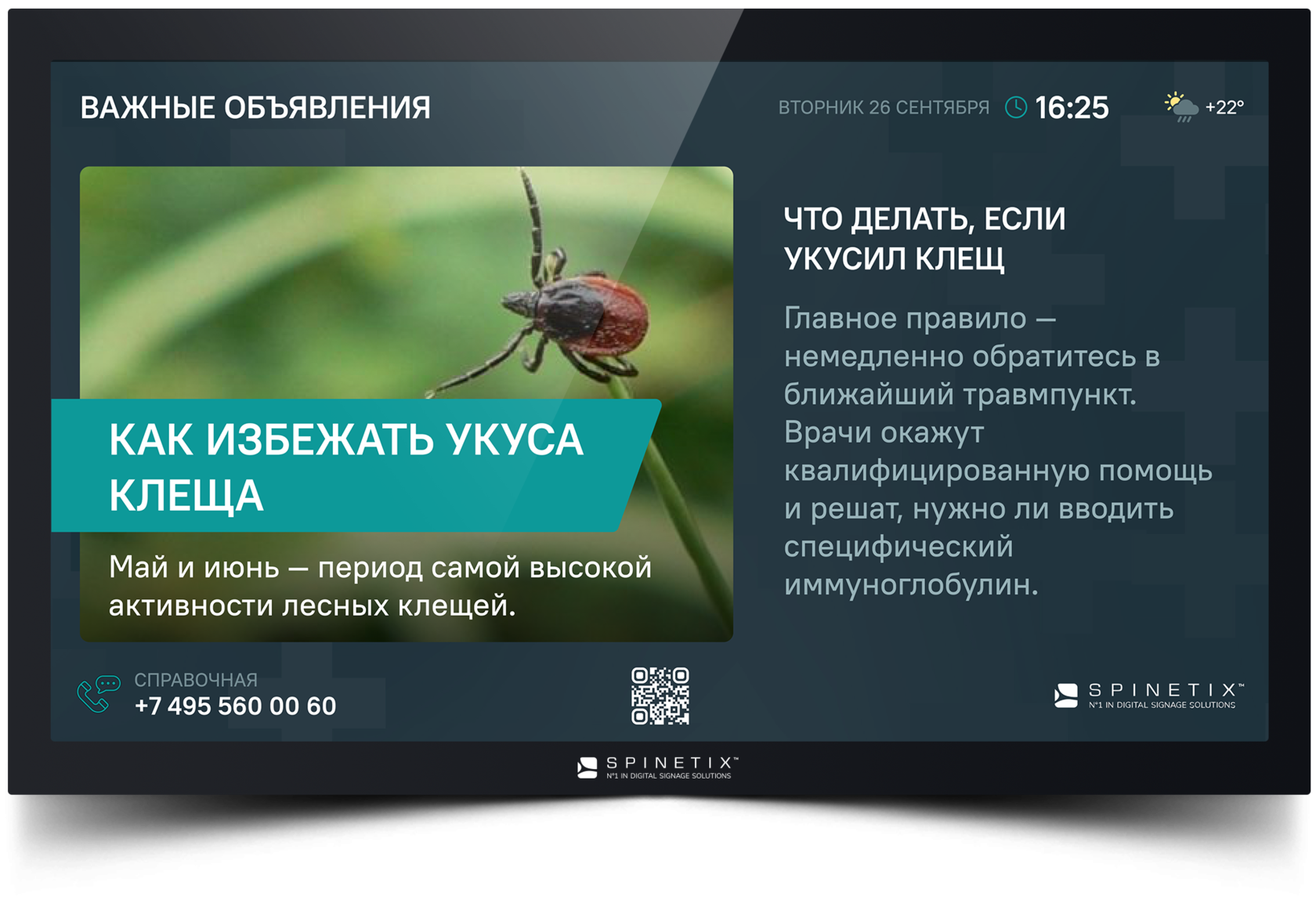 МИСЭКРАН – дизайнерский набор контента для МИС учреждений