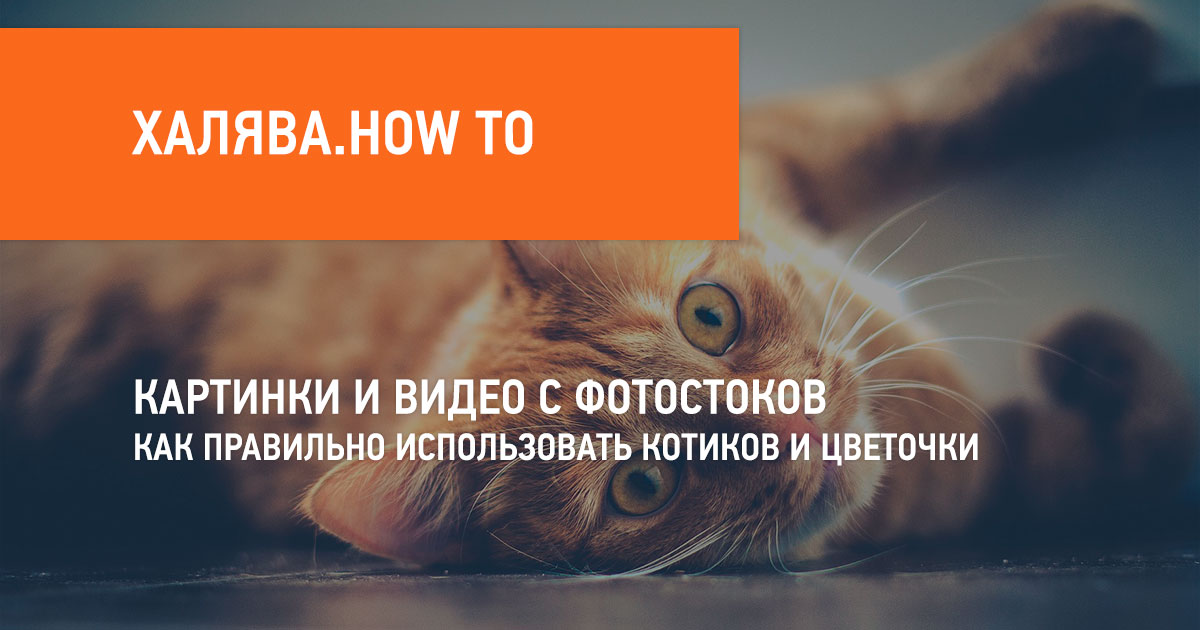КАРТИНКИ И ВИДЕО С ФОТОСТОКОВ
